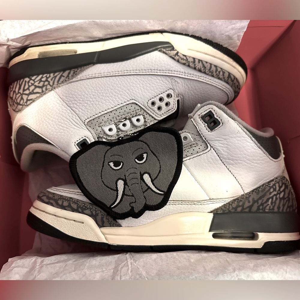 Jordan 3 Hide And Sneak Y6